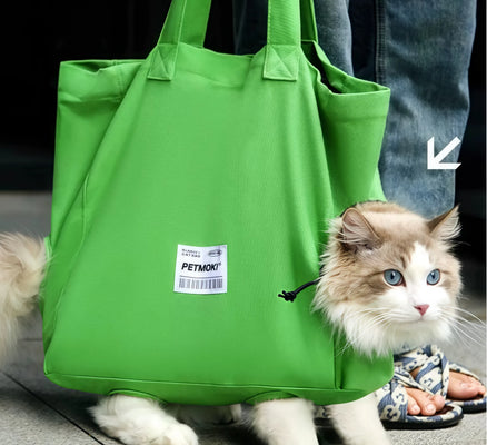 Cute & Functional—My Cat’s New Favorite Bag!