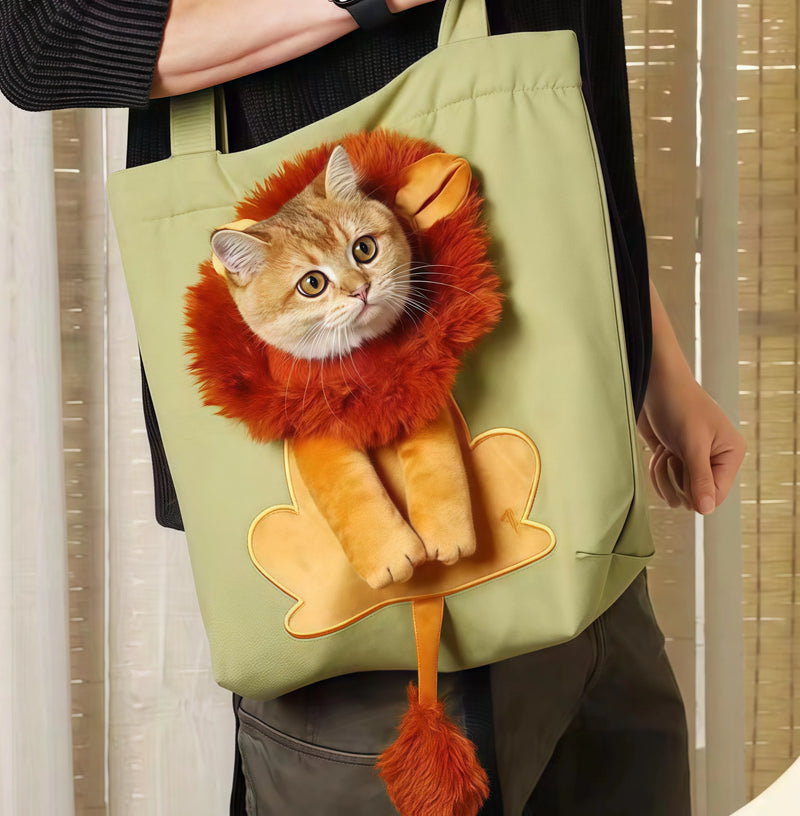 Wow! Your fur baby turns into a 'little lion' when going out!