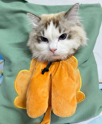 Adorable Lion-Cat Tote That Turns Heads!