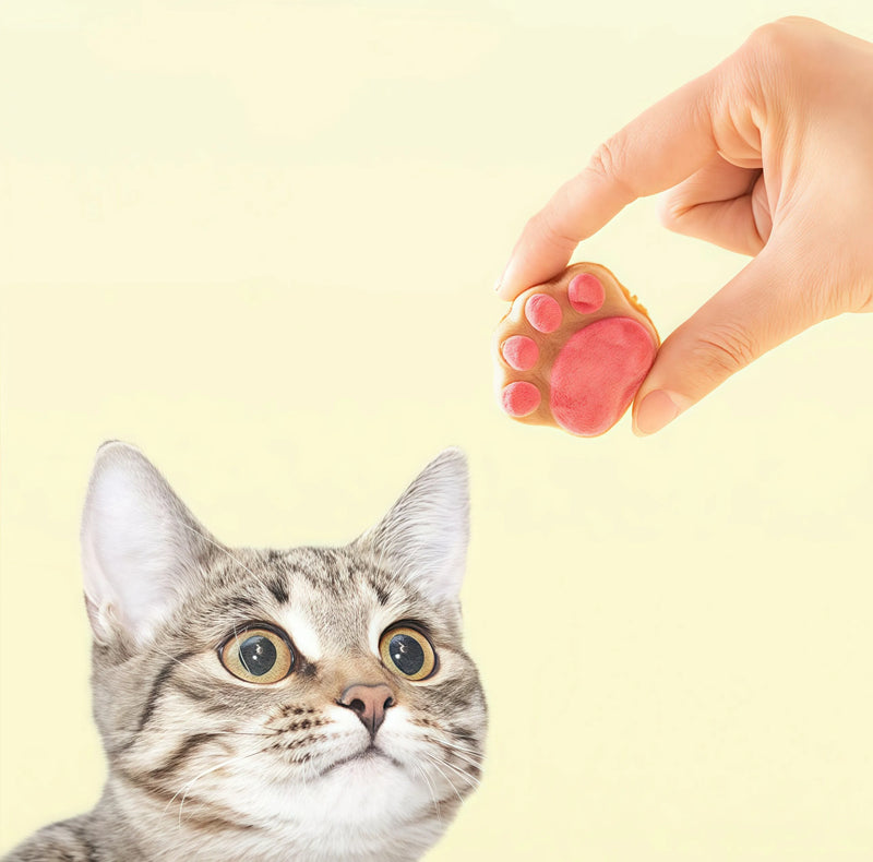 Wow! 88% Meat Paw-Shaped Cat Treats!
