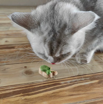 My Cat Goes Crazy for These Paw Treats!