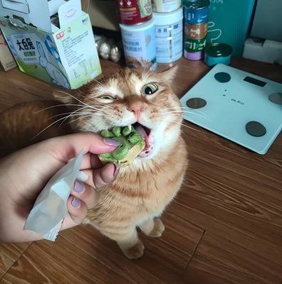 Adorable Paw Treats That Are Actually Good for Cats