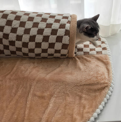 My Cat’s New Favorite Hangout!