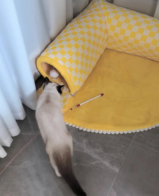 Best Toy + Bed Combo Ever!