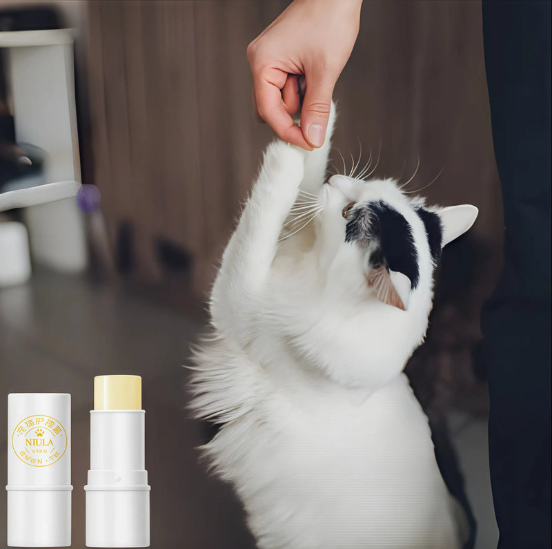 Finally, a Solution for Your Pet’s Dry, Cracked Paw Pads!