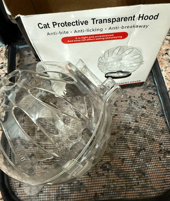 Adorable & Practical—My Cat Actually Wears It!