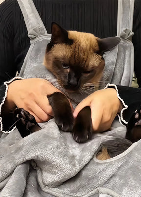 My Cat Actually Likes Being Wrapped!