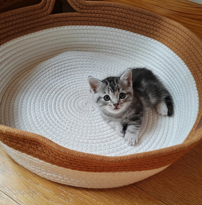 Soft & Stylish Cat Nest—Worth It!