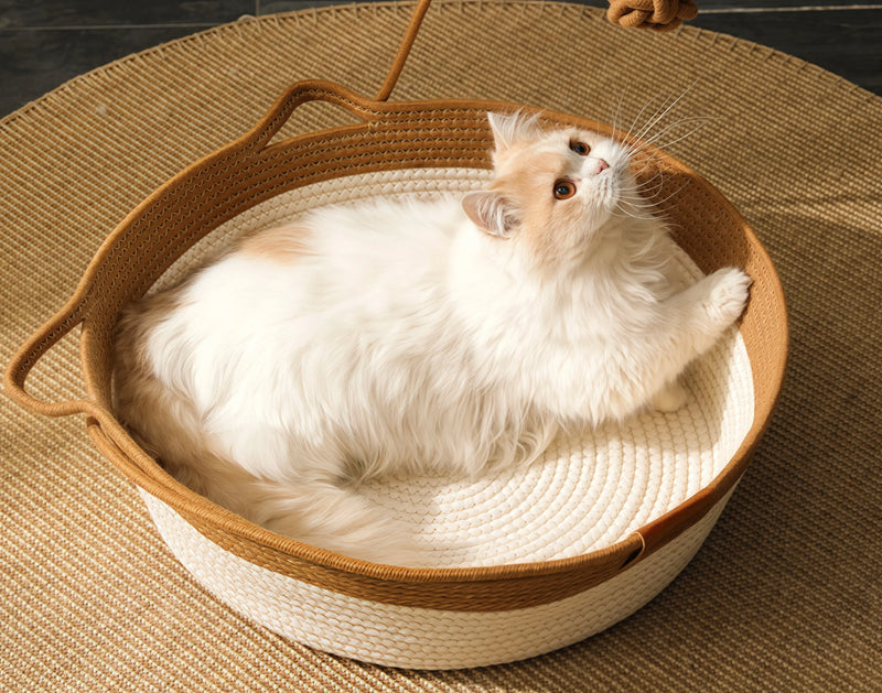 Oh my god! This cat bed is so soft it's like a cat magnet!