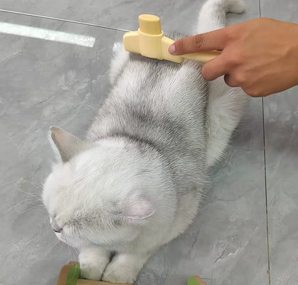 Game-Changer for My Fluffy Cat!