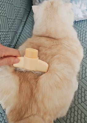My Dog Actually Loves Being Brushed Now!