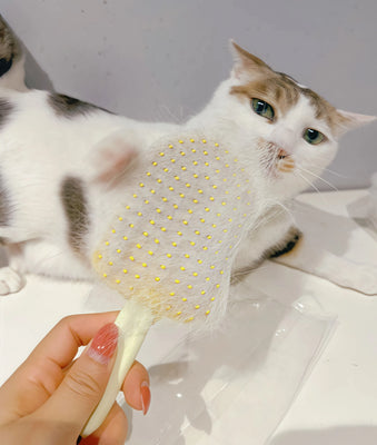 Finally a Brush My Dog Doesn’t Fear!