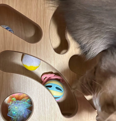 Finally a Toy That Keeps My Cat Entertained for Hours!