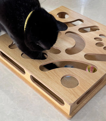 Worth Every Penny—My Cat Won’t Leave It Alone!