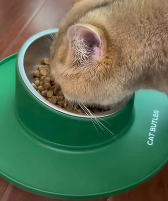 Sturdy & Cat-Approved!
