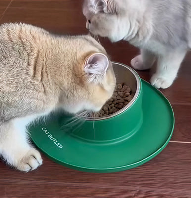 Great for My Messy Kitten!