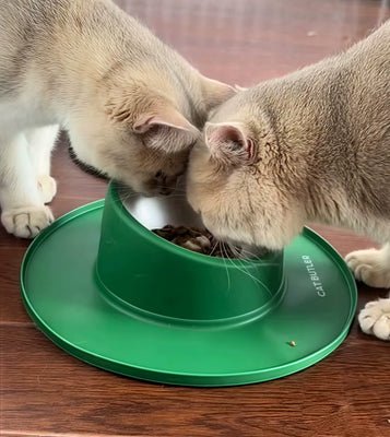 Finally a Bowl That Stays Put!