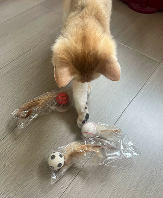 Two Cats, One Favorite Toy!