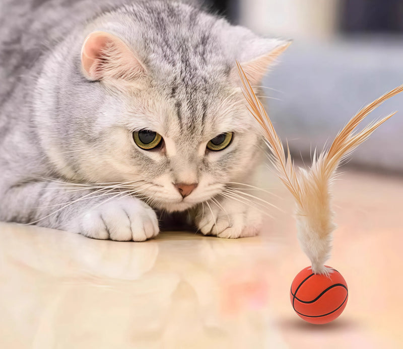 Cats Go Crazy for This Elastic Badminton!