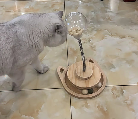 Best Toy for Bored Cats!