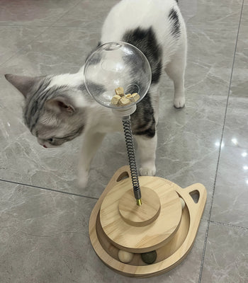 Keeps My Cat Engaged (and Me Smiling!)