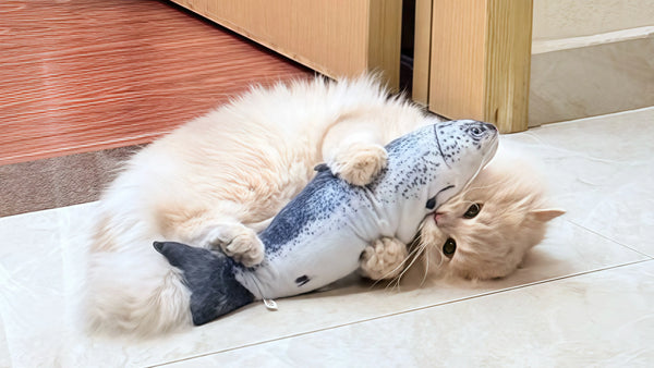 Finally a Toy That Holds My Cat’s Attention!