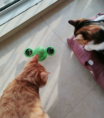 Windmill Toy = Hours of Non-Stop Cat Fun!