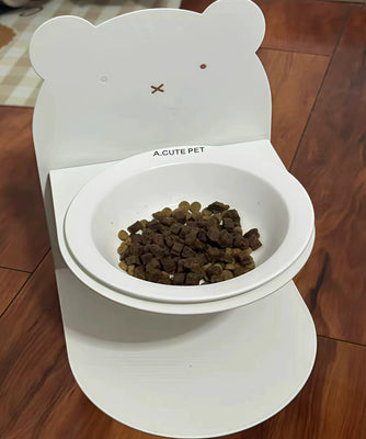 Cute & Stays Put—My Cat Loves It!