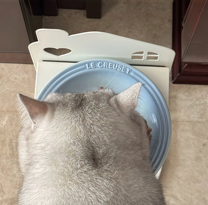Finally a Bowl That Doesn’t Move! Adorable Too