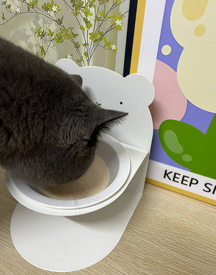 Practical & Cute—Perfect for My Puppy