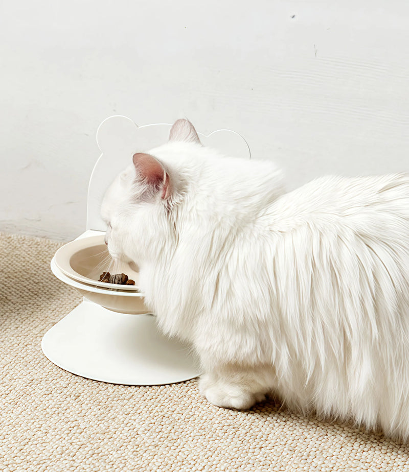 No More Worries About Your Fur Baby Knocking Over the Bowl!