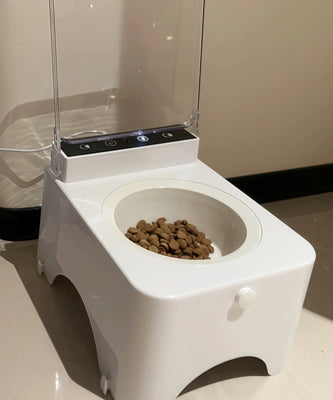 My Cat’s New Favorite Spot—Works Like a Charm!