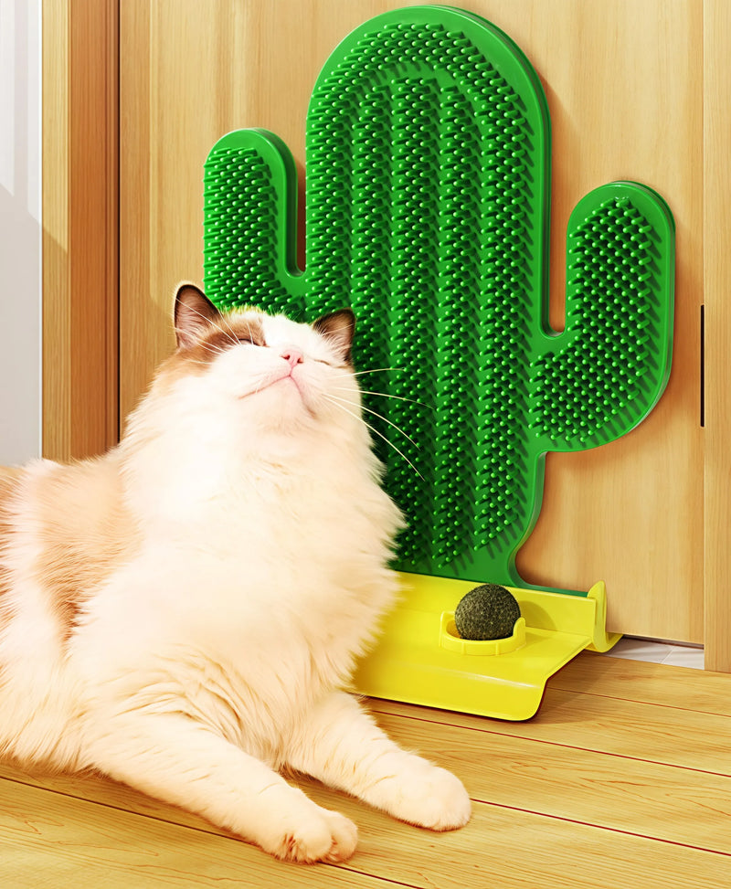 Incredible! This Cactus Cat Scratcher Is Perfect for Scratching AND Playing!