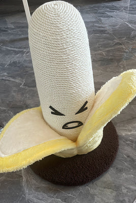 Our Tabby’s New Obsession: A Banana!