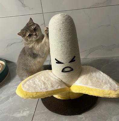 Banana Scratcher = Sofa Savior!