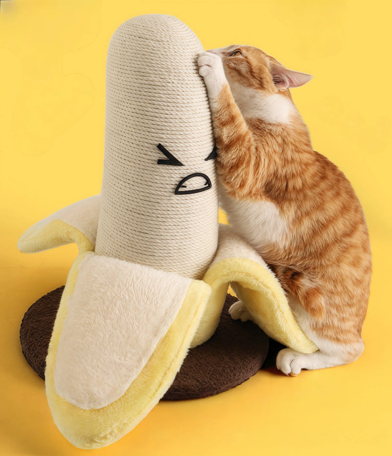 Banana Cat Scratcher Gets Cats So Well!