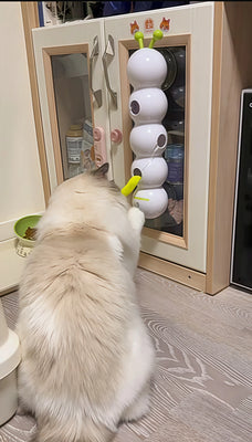 Finally a Toy That Tires Out My Kitten!