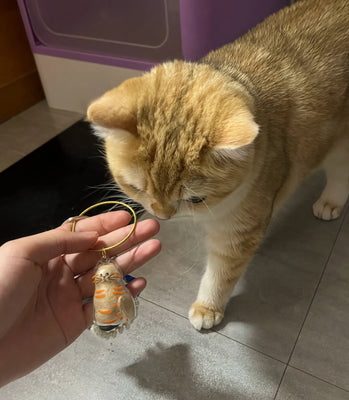This Mini Capsule Turned My Cat Into A Cuddle Bug!