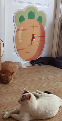 Cute Slim Scratcher That My Kitten Adores!