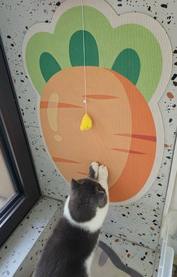 My Cat Can’t Stop Playing with This Carrot Scratcher!