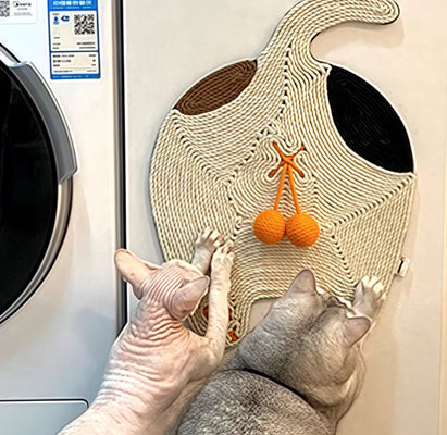 Functional Decor My Cat Actually Uses!