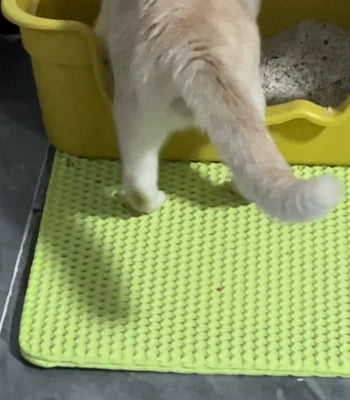 Finally No More Litter Tracks Everywhere!