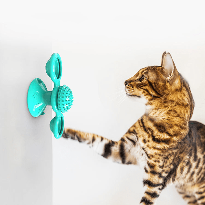 Windmill Cat Toy - MaoMao - Paws