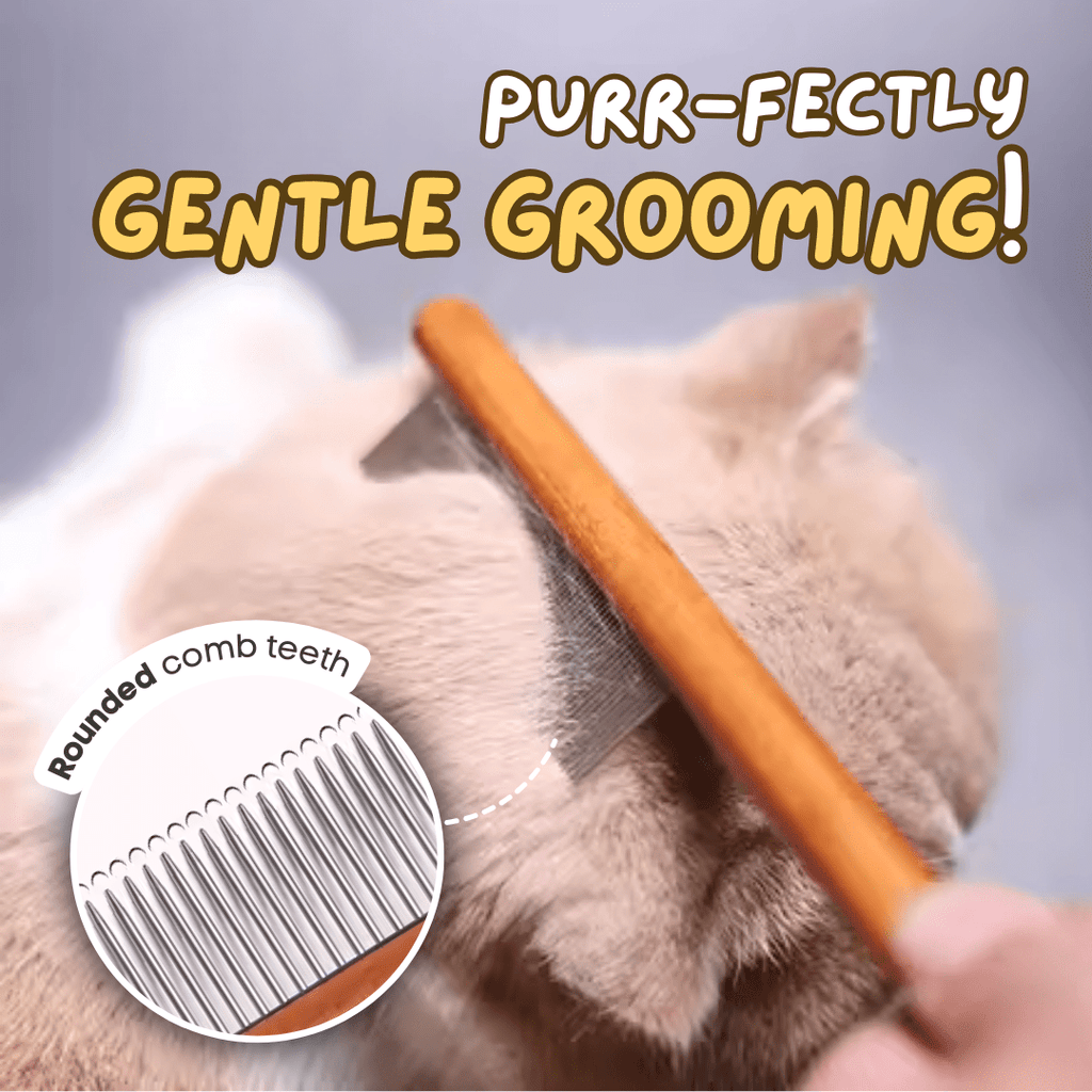 Wooden Cat Comb - MaoMao - Paws