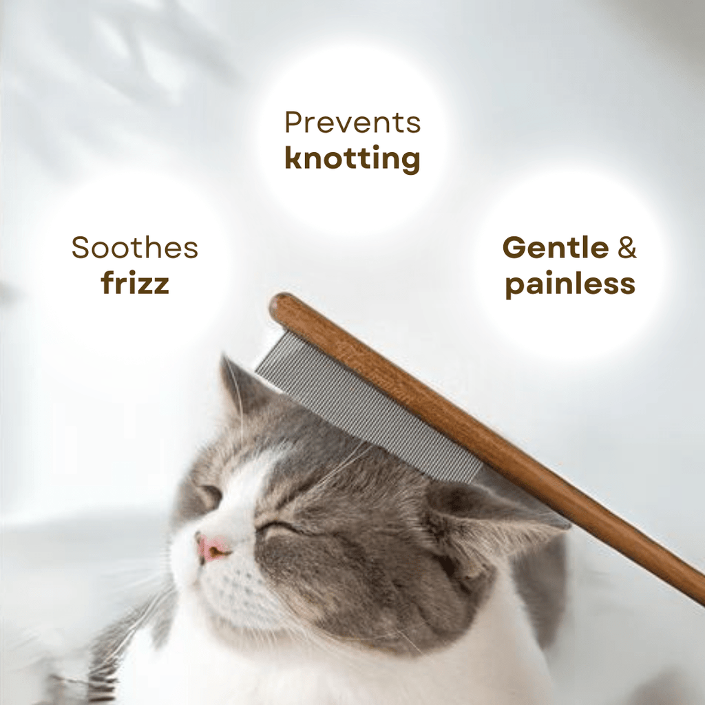 Wooden Cat Comb - MaoMao - Paws