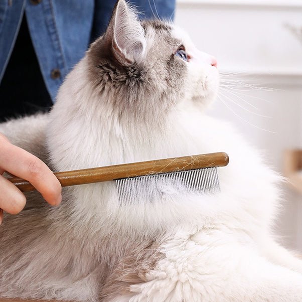 Wooden Cat Comb - MaoMao - Paws