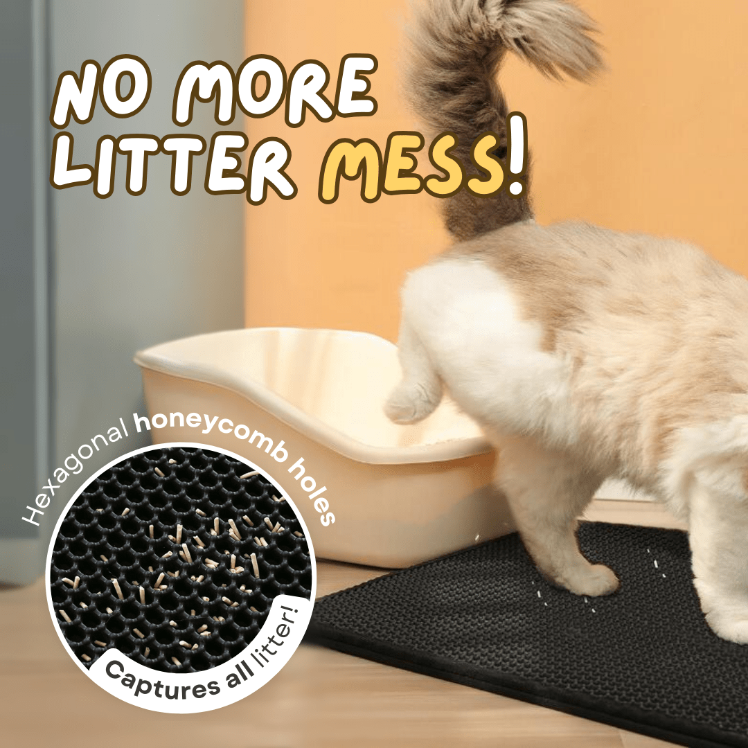 XL Litter Mat - MaoMao - Paws