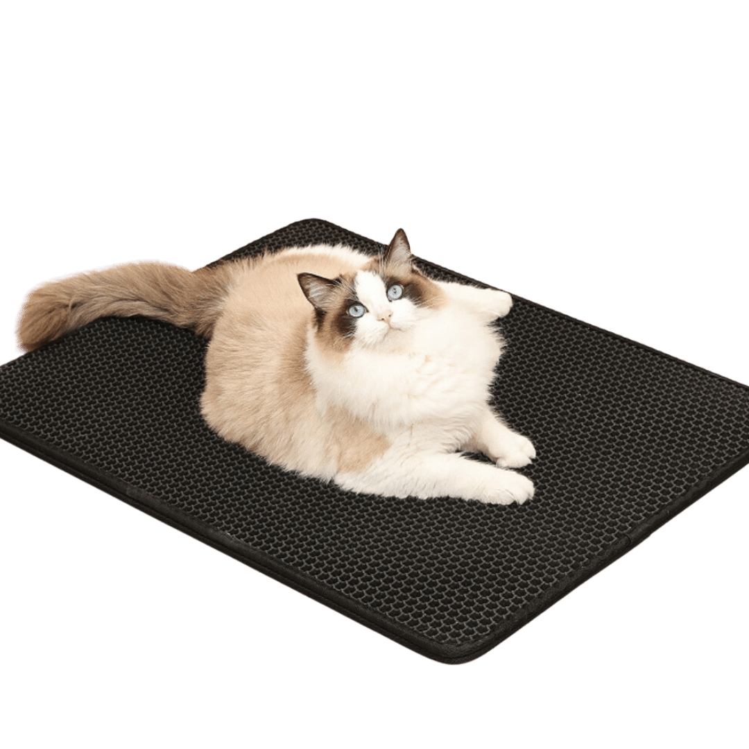 XL Litter Mat - MaoMao - Paws