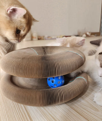 Genius Combo—Scratcher + Bed = Happy Cat!