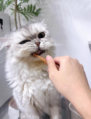 Perfect for My Cat’s Sensitive Gums